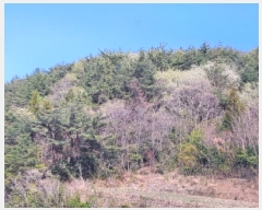  2025Ÿ51224  ﱺ  ȣ 157      (Ӿ)