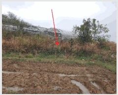  2025Ÿ51321  ﱺ ο 븮 392-4      ()