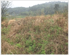  2025Ÿ51321  ﱺ ο 븮 392-4      ()