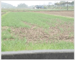  2025Ÿ51321  ﱺ ο 븮 392-4      ()