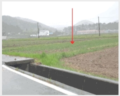  2025Ÿ51321  ﱺ ο 븮 392-4      ()