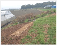  2025Ÿ51321  ﱺ ο 븮 392-4      ()