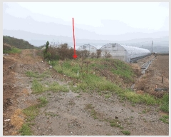  2025Ÿ51321  ﱺ ο 븮 392-4      ()