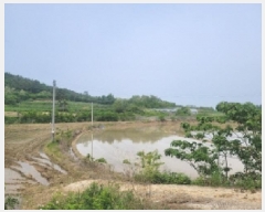  2025Ÿ51321  ﱺ ο 븮 392-4      ()