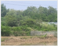  2025Ÿ51321  ﱺ ο 븮 392-4      ()