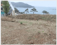  2025Ÿ51333    縮 1292-37      (Ӿ)