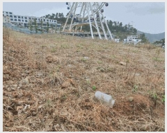  2025Ÿ51333    縮 1292-37      (Ӿ)