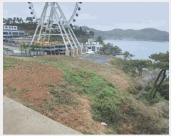  2025Ÿ51333    縮 1292-37      (Ӿ)