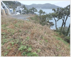  2025Ÿ51333    縮 1292-37      (Ӿ)