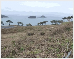  2025Ÿ51333    縮 1292-37      (Ӿ)