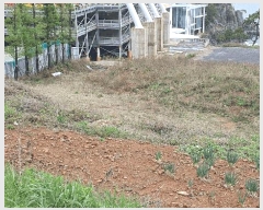  2025Ÿ51333    縮 1292-37      (Ӿ)