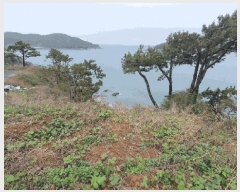  2025Ÿ51333    縮 1292-37      (Ӿ)