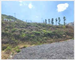  2025Ÿ51333    縮 1292-37      (Ӿ)