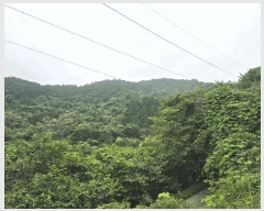  2025Ÿ��51387 ���� ����� ����� ���� ��147      ����(�Ӿ�)���