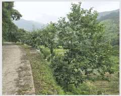  2025Ÿ��51387 ���� ����� ����� ���� ��147      ����(�Ӿ�)���