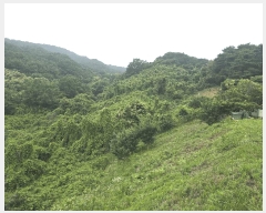  2025Ÿ��51387 ���� ����� ����� ���� ��147      ����(�Ӿ�)���