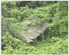  2025Ÿ��51387 ���� ����� ����� ���� ��147      ����(�Ӿ�)���