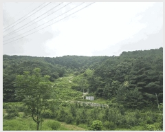  2025Ÿ��51387 ���� ����� ����� ���� ��147      ����(�Ӿ�)���