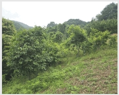  2025Ÿ��51387 ���� ����� ����� ���� ��147      ����(�Ӿ�)���