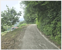  2025Ÿ��51387 ���� ����� ����� ���� ��147      ����(�Ӿ�)���