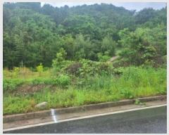  2025Ÿ51411    űݸ 1748      ()