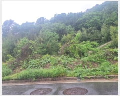  2025Ÿ51411    űݸ 1748      ()