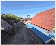  2025Ÿ51429  ﱺ  ϸ 3664      ,â