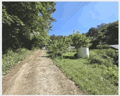  2025Ÿ51429  ﱺ  ϸ 3664      ,â