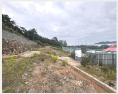  2025Ÿ51495    縮 1266-45      ()