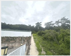  2025Ÿ51495    縮 1266-45      ()