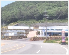  2025Ÿ51495    縮 1266-45      ()