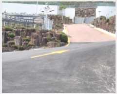  2025Ÿ51495    縮 1266-45      ()