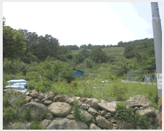  2025Ÿ��51537  ����