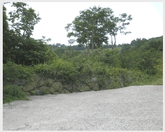  2025Ÿ��51537  ����