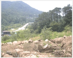  2025Ÿ��51537  ����