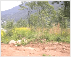  2025Ÿ��51537  ����