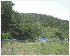  2025Ÿ��51537  ����