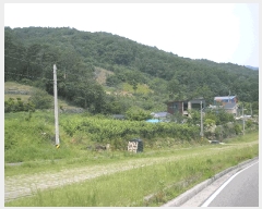  2025Ÿ��51537  ����