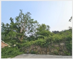  2025Ÿ��51537  ����