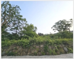  2025Ÿ��51537  ����