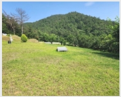  2025Ÿ51543   ̸  486      ()