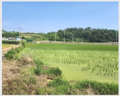  2025Ÿ51543   ̸  486      ()