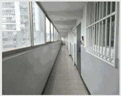  2025Ÿ51597   ߵ 1665 ȣ2Ʈ 215 3305ȣ    Ʈ