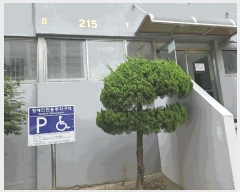  2025Ÿ51597   ߵ 1665 ȣ2Ʈ 215 3305ȣ    Ʈ