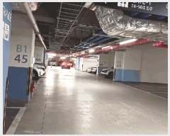  2025Ÿ51645    105 žȰڽü 1 6602ȣ    ܵ(ȣ)