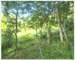  2025Ÿ51651    ݺ 561      (Ӿ)