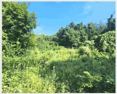  2025Ÿ51651    ݺ 561      (Ӿ)