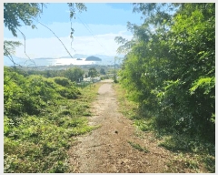  2025Ÿ51651    ݺ 561      (Ӿ)