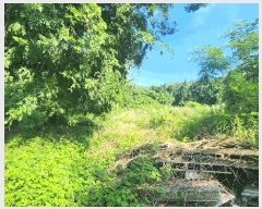  2025Ÿ51651    ݺ 561      (Ӿ)