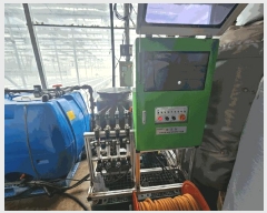  2025Ÿ51663  ʱ  긮 244-1      ()